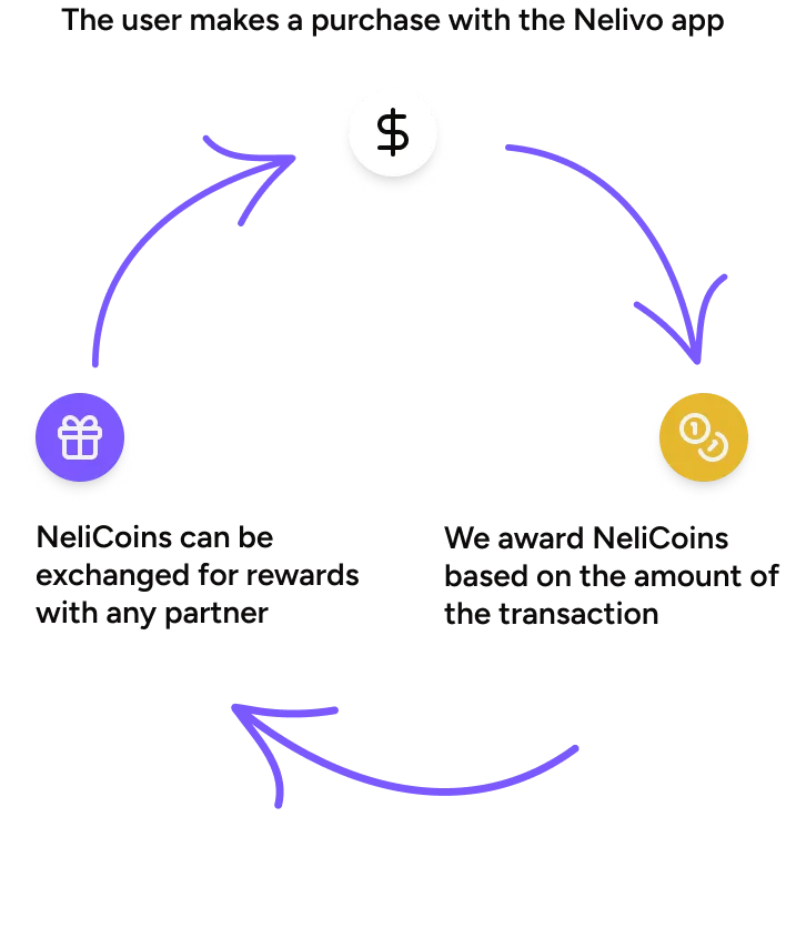Illustration of NeliCoins circulation
